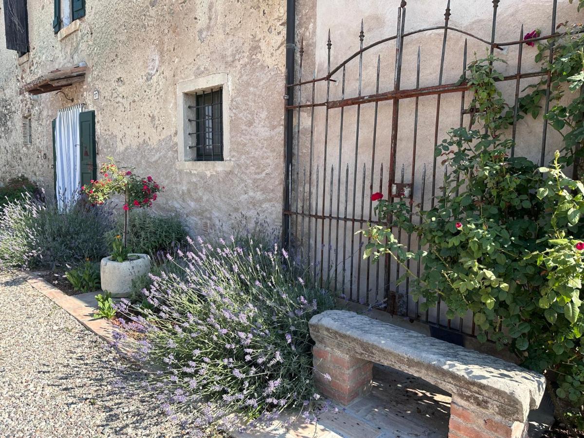 Ca Nova Agriturismo Castellaro  Εξωτερικό φωτογραφία