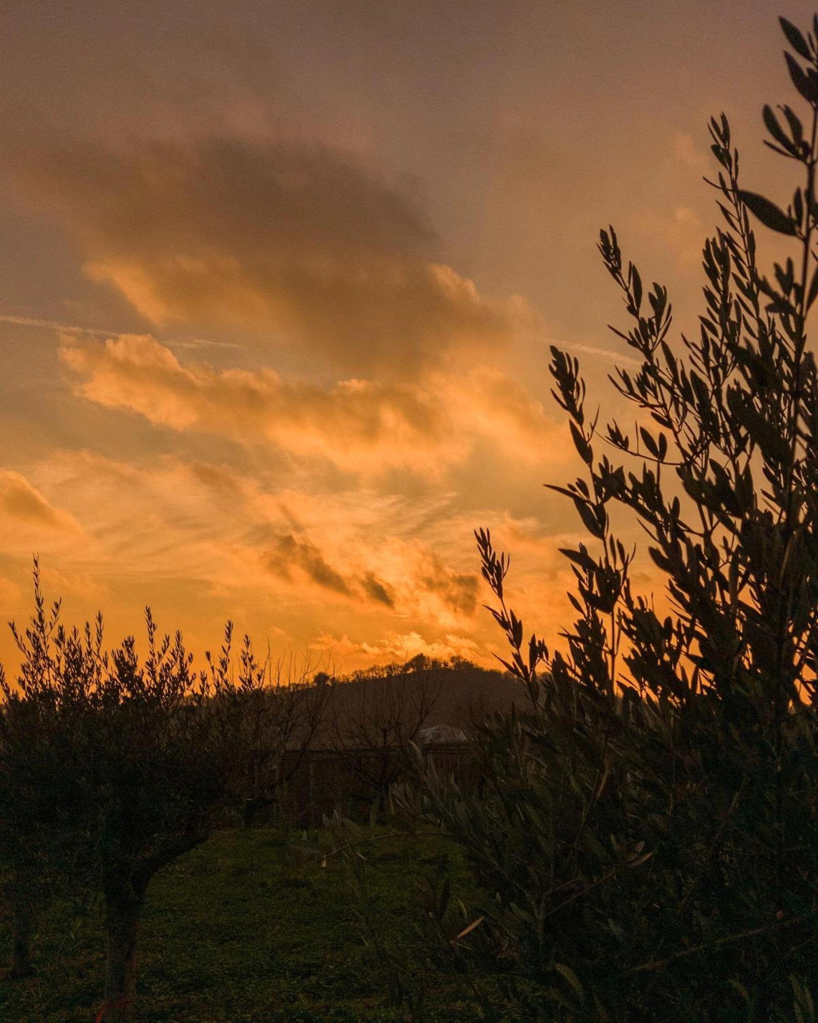 Ca Nova Agriturismo Castellaro  Εξωτερικό φωτογραφία
