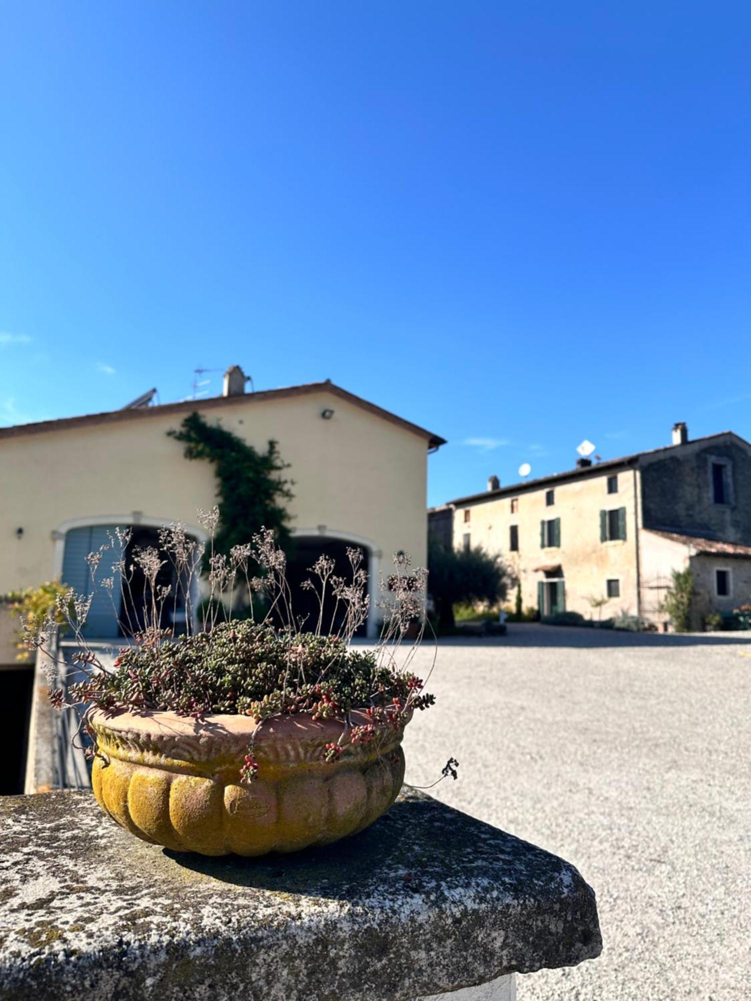 Ca Nova Agriturismo Castellaro  Εξωτερικό φωτογραφία