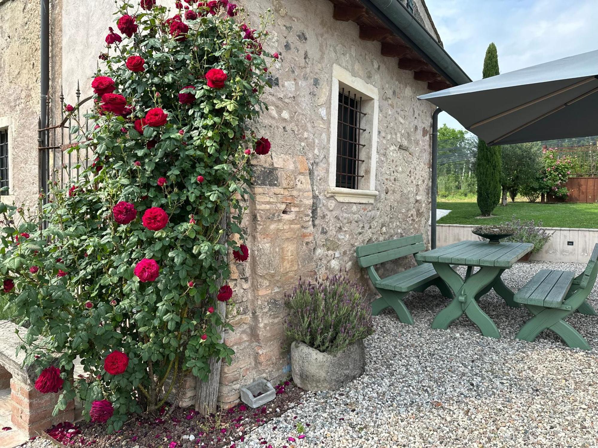 Ca Nova Agriturismo Castellaro  Εξωτερικό φωτογραφία