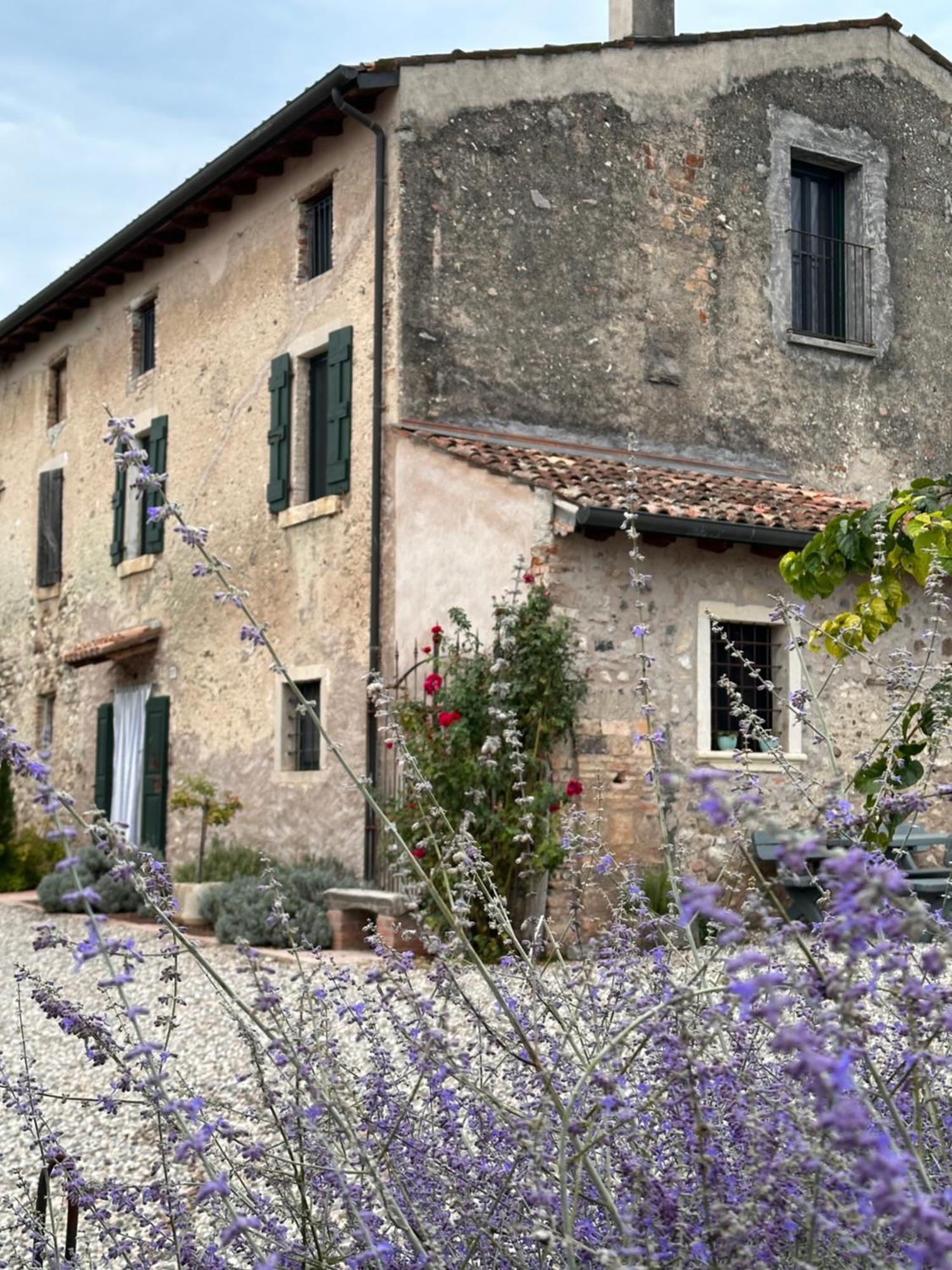 Ca Nova Agriturismo Castellaro  Εξωτερικό φωτογραφία